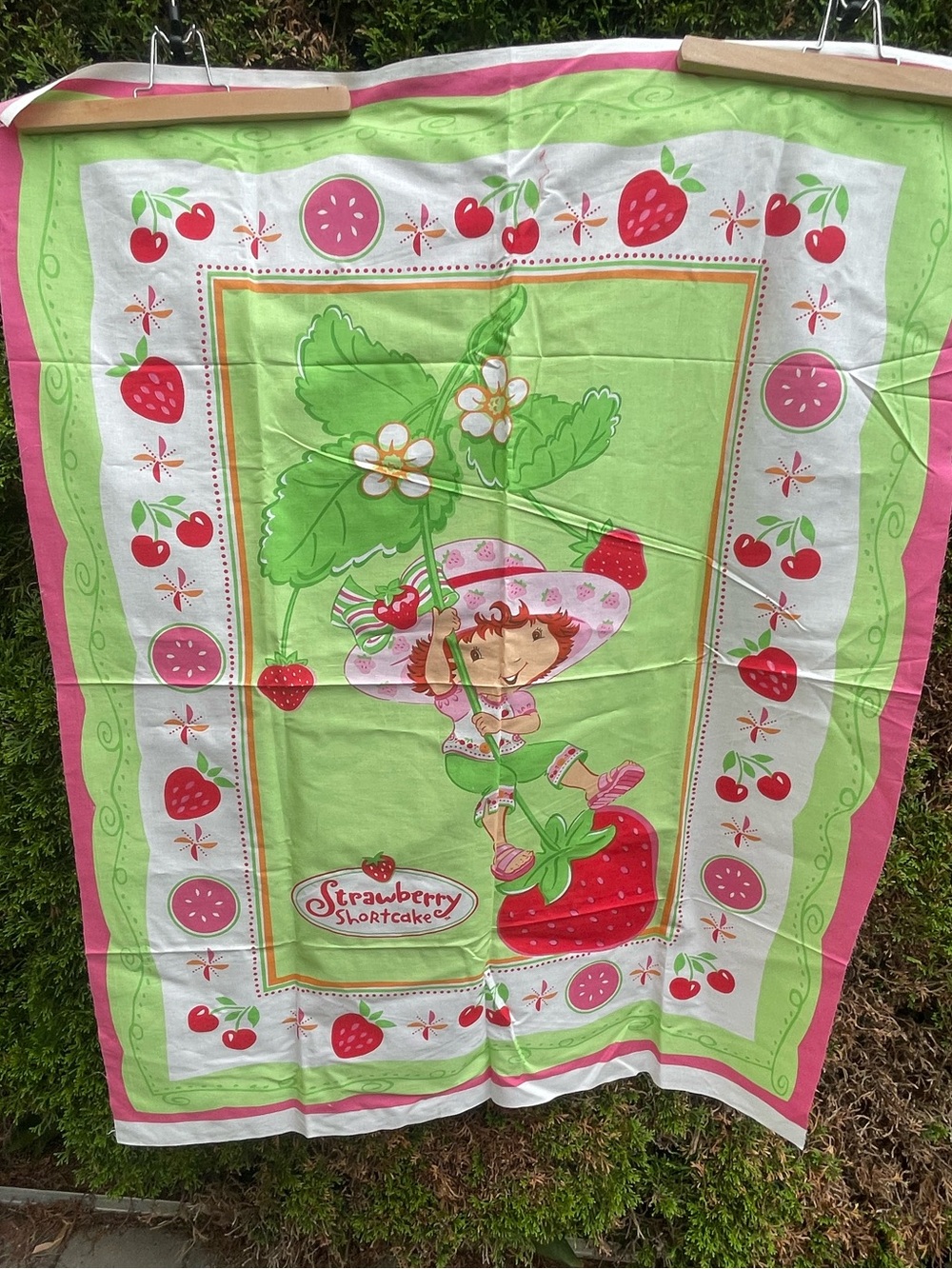 Strawberry Shortcake Fabric Bundle - Panel plus matching print